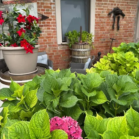 C' Era Volta 4* Canelli