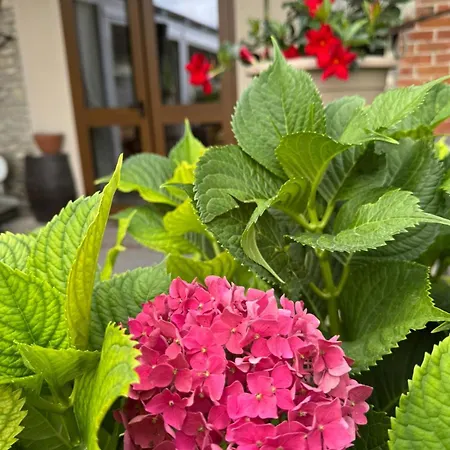 C' Era Volta Alojamento de Acomodação e Pequeno-almoço 4*