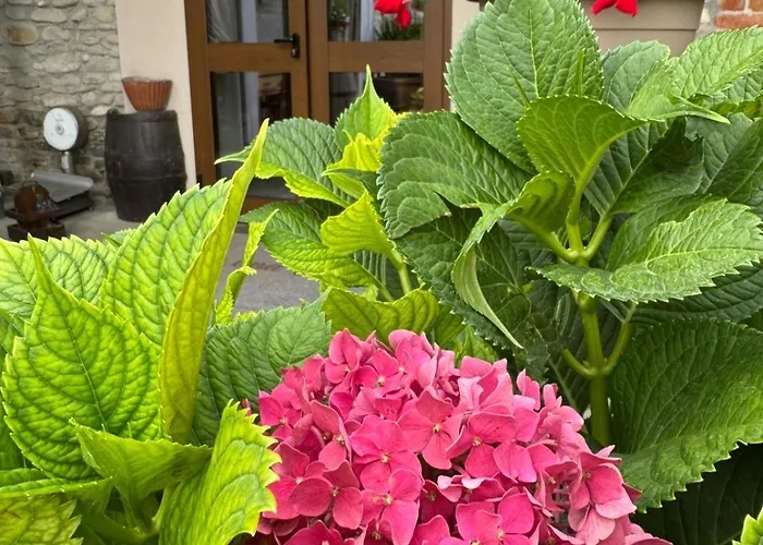 C' Era Volta Bed & Breakfast 4*