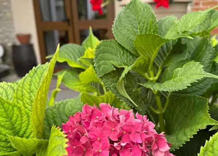 C' Era Volta Bed & Breakfast 4*