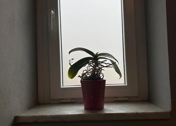 C' Era Volta Canelli